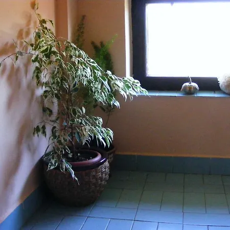 Apartmán Ubytovani U Poslednich Přední Výtoň
